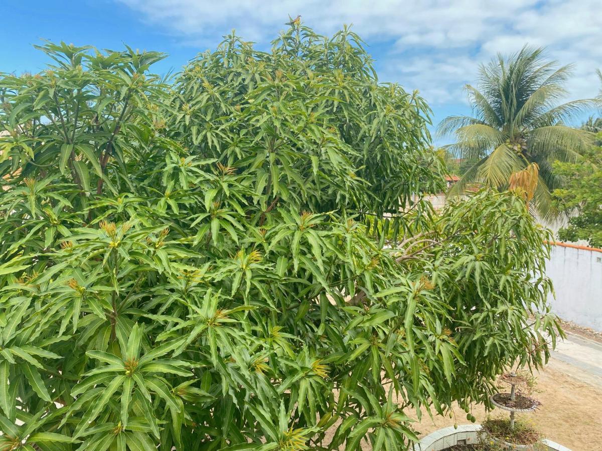 Villa Sol, Mar E Privacidade Aracaju Exterior foto